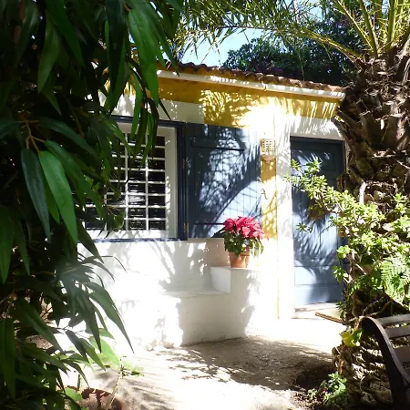 Palmmoya * Moya (Gran Canaria)
