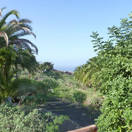 Palmmoya * Moya (Gran Canaria)
