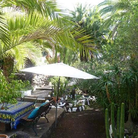 Palmmoya * Moya (Gran Canaria)