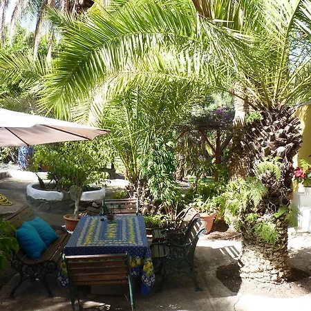 Palmmoya * Moya (Gran Canaria)