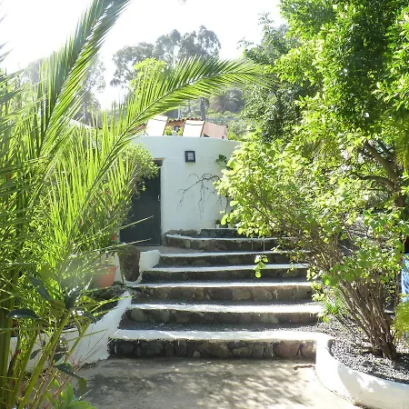 Palmmoya * Moya (Gran Canaria)