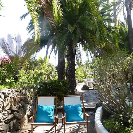 Palmmoya * Moya (Gran Canaria)