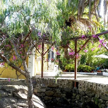 Palmmoya *